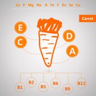 Vegetarian food Vector infographic for content of vitamins in carrot