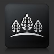 Black Square Button with Tree Icon N24