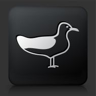 Black Square Button with Seagul Icon