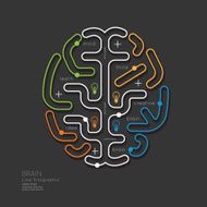 Flat linear Infographic Education Outline Brain Concept Vector N3