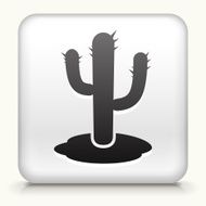 White Square Button with Cactus Icon