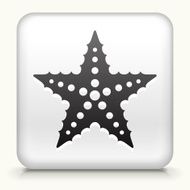 White Square Button with Starfish