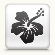White Square Button with Tropical Flower Icon