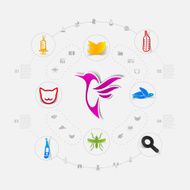 Set of veterinary icons N81