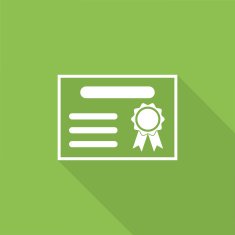 Certificate icon N17