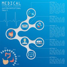 Medical and healthcare infographic N13