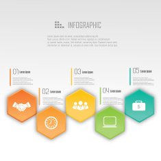 Business infographic design N227