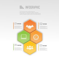 Business infographic design N228