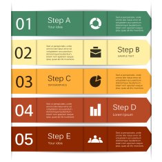 Modern vector info graphic for business project N167