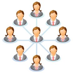 organization chart N7
