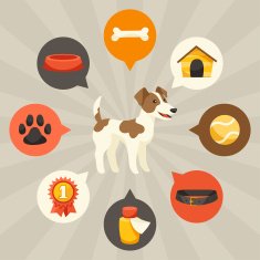 Visual infographics with cute dogs icons and objects