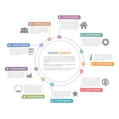 Circle Infographics N13