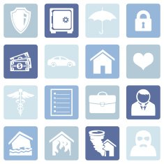 Vector Set of Insurance Icons N9