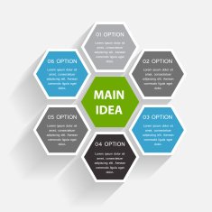 Infographic Templates for Business Vector Illustration N1050