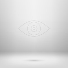 Icon in light studio room N5
