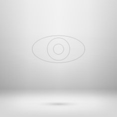 Icon in light studio room N19