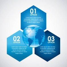 Infographic Design N165