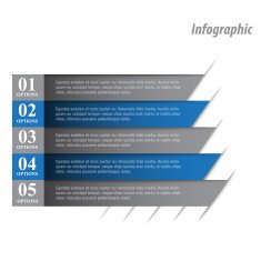 Design Infographic Template N43