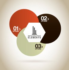 infographics N163