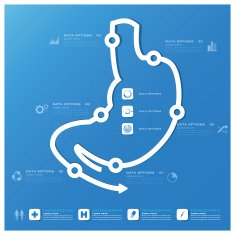 Stomach Shape Business And Medical Infographic Design Template N2