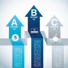 Infographic N330