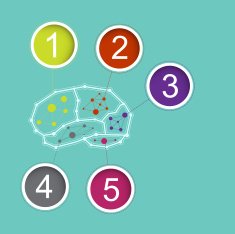 infographic brain concept