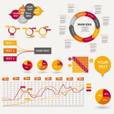 Infographic business template vector illustration N557