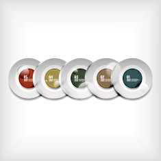 Circles infographics modern design