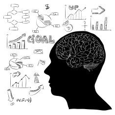 Human Brain Vector Outline Sketched Up with infographic
