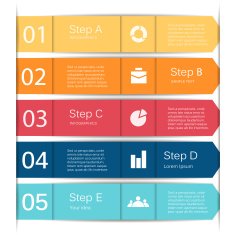 Vector lines infographic diagram presentation N2