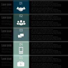 Business infographic design N320