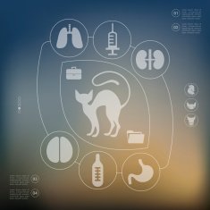 veterinary infographic with unfocused background N43