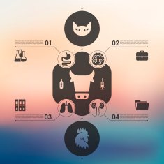veterinary infographic with unfocused background N44