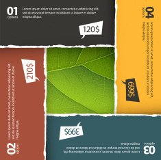 Green leaf texture under torn paper colorful plates Vector EPS