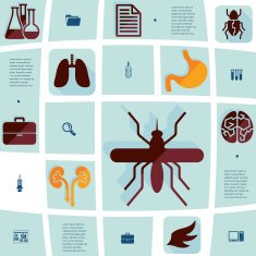 veterinary flat infographic N45