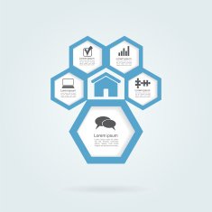 Infographic honeycomb elements with icons N2
