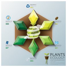 Leaf Shape Three Dimension Polygon Ecology And Environment Infographic N2