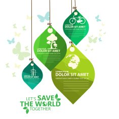 green infographic N14