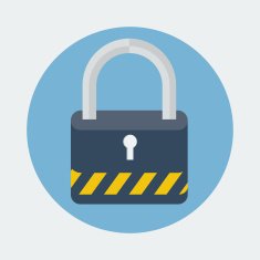 Lock flat icon