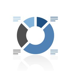 Donut Chart icon on a white background - RoyalSeries N2