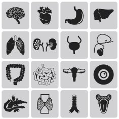 Vector Black icons of internal human organs Flat design set1