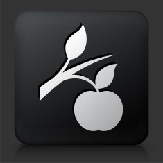 Black Square Button with Growing Apple