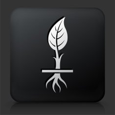 Black Square Button with Growing Plant N5