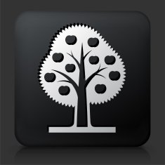 Black Square Button with Apple Tree