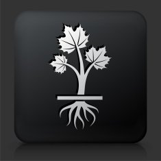Black Square Button with Growing Plant N6