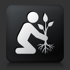 Black Square Button with Planting Tree Icon