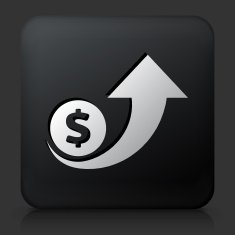 Black Square Button with Dollar Increase Icon N2