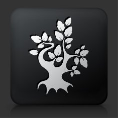 Black Square Button with Tree Icon N12