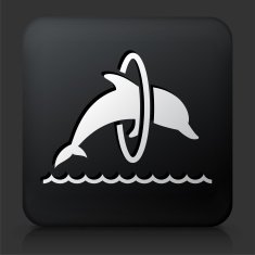 Black Square Button with Jumping Dolphin