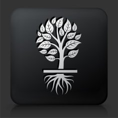 Black Square Button with Growing Tree